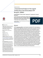 Computational Analysis of The Ligand Binding Site of The Extracellular ATP Receptor