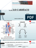 CicloCardiaco