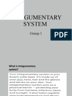 Integumentary S-Wps Office