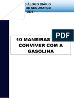 10 Maneiras para Conviver Com A Gasolina