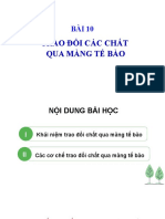 Bai 10 Trao Doi Chat Qua Mang Te Bao 1