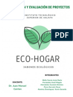Formulación y Evaluciónde Proyectos-Eco-Hogar