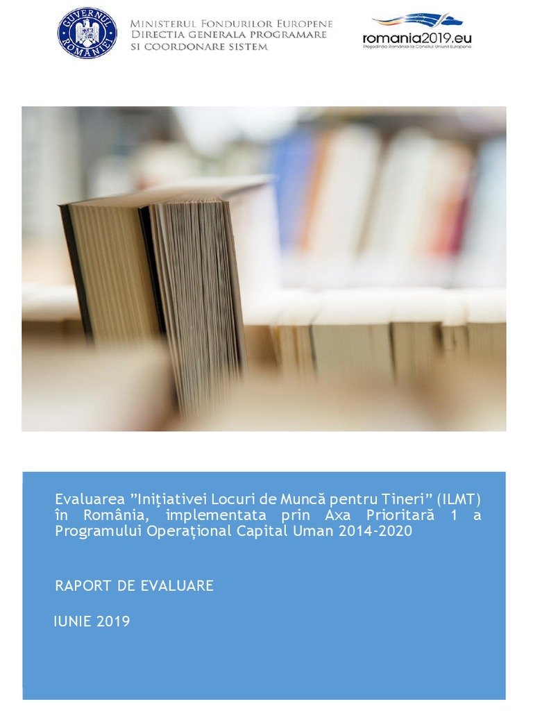 Report de Evaluare NEETs FINAL CLEAN | PDF