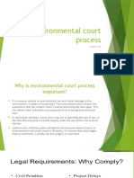 Environmental Court Process