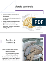 LP 10 Emisferele Cerebrale - Configuraie Externa