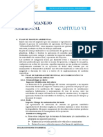 Cap. Vi Plan de Manejo Ambiental