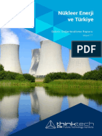 STM Sektor Raporu Nukleer Enerji Ve Turkiye