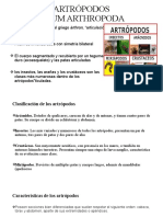 Artrópodos: Características y Clasificación de los Principales Invertebrados Segmentados