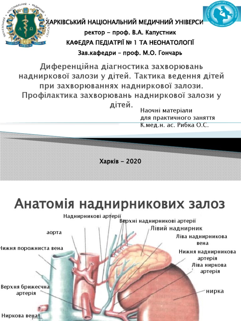 31 - Надниркові залози | PDF