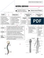 Sistema Nervioso
