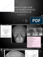 Cranio y cara por técnicas radiológicas