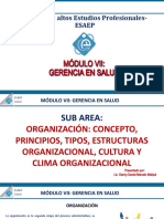 Modulo1c4 Organizacion Conceptos Cultura y Clima Organizacional