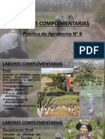Labores Complementarias Parte II - Agrotecnia Practicas