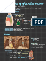 Cardiovascular 1