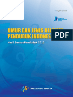 ID Umur Dan Jenis Kelamin Penduduk Indonesia