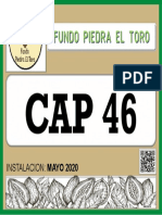 Cap 46