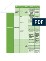 Entrenamiento Formato