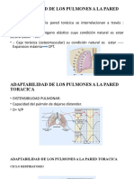 Adaptabilidad de Los Pulmones A La Pared Toracica