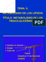 7-Conferencia 7. Lipolisis