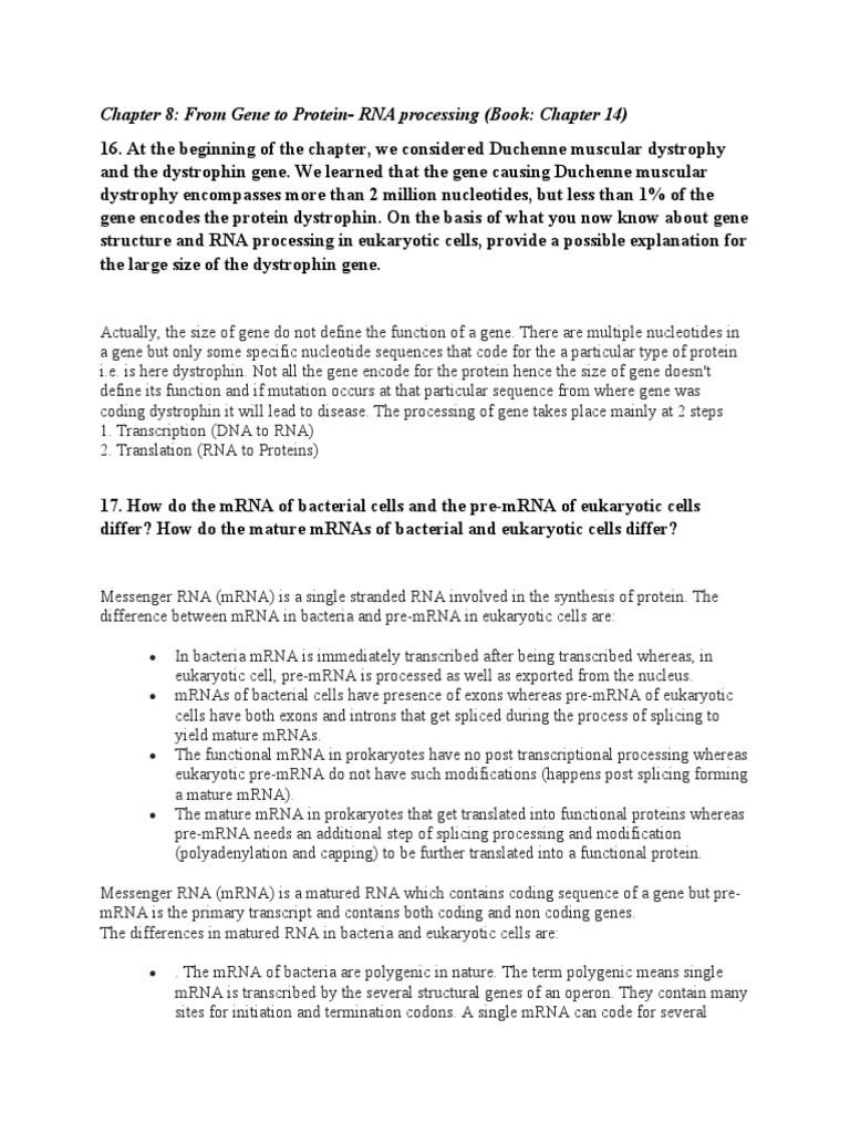 Genetics chapter 14 pdf messenger rna rna splicing