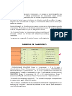 Cariotipo-Resumen Word