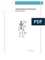 Laporan Pengamatan Biologi