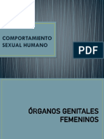 Comportamiento Sexual Humano