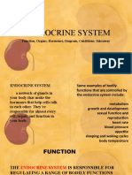 Endocrine System