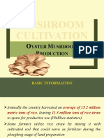 Lecture On Mushroom Cultivation