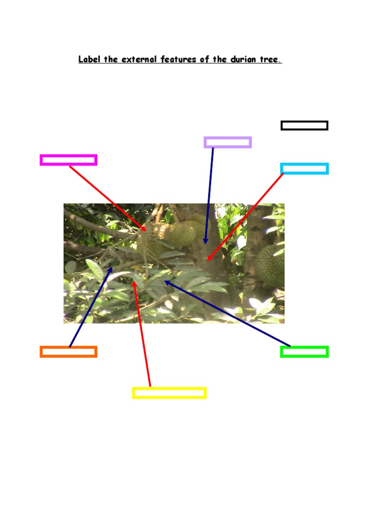Worksheet 1 | PDF