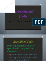 Specialized Tissue