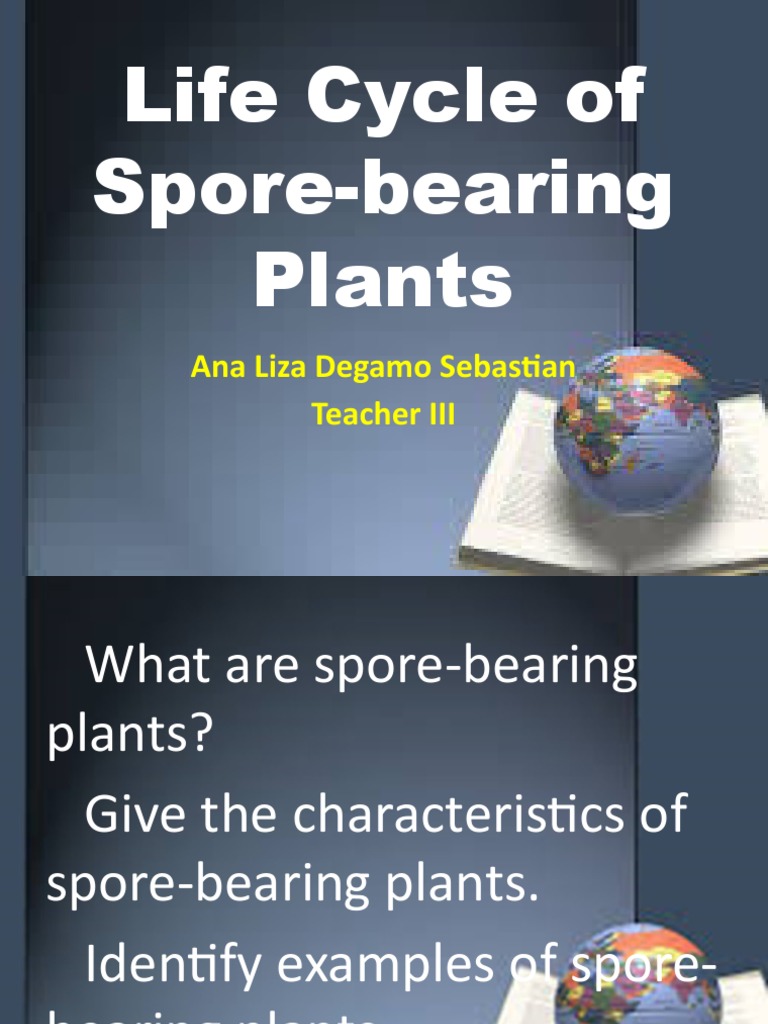 life cycle of spore bearing plants worksheet