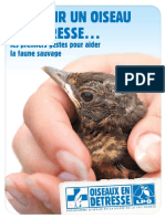 Brochure Poursecourirunoiseau - Majaout2015 Web