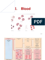 Blood - Physiology Short Summary