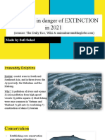 ANIMALS in Danger of EXTINCTION in 2021 (Sources - The Daily Eco, Wiki & Animalsaroundtheglobe - Com)