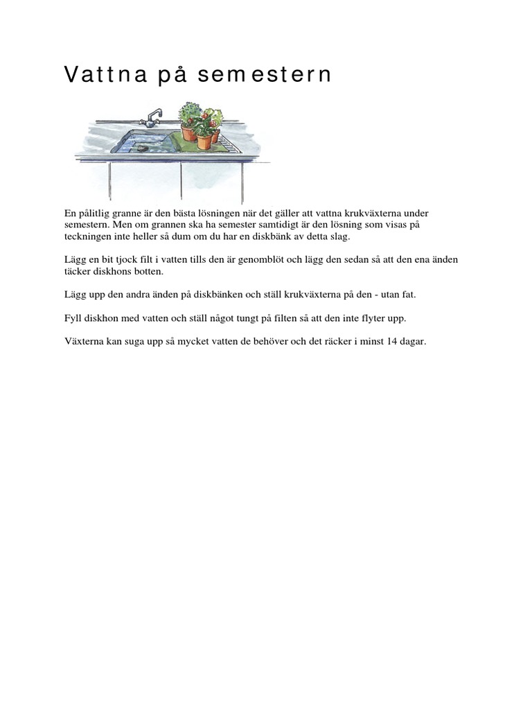 Vattna På Semestern | PDF
