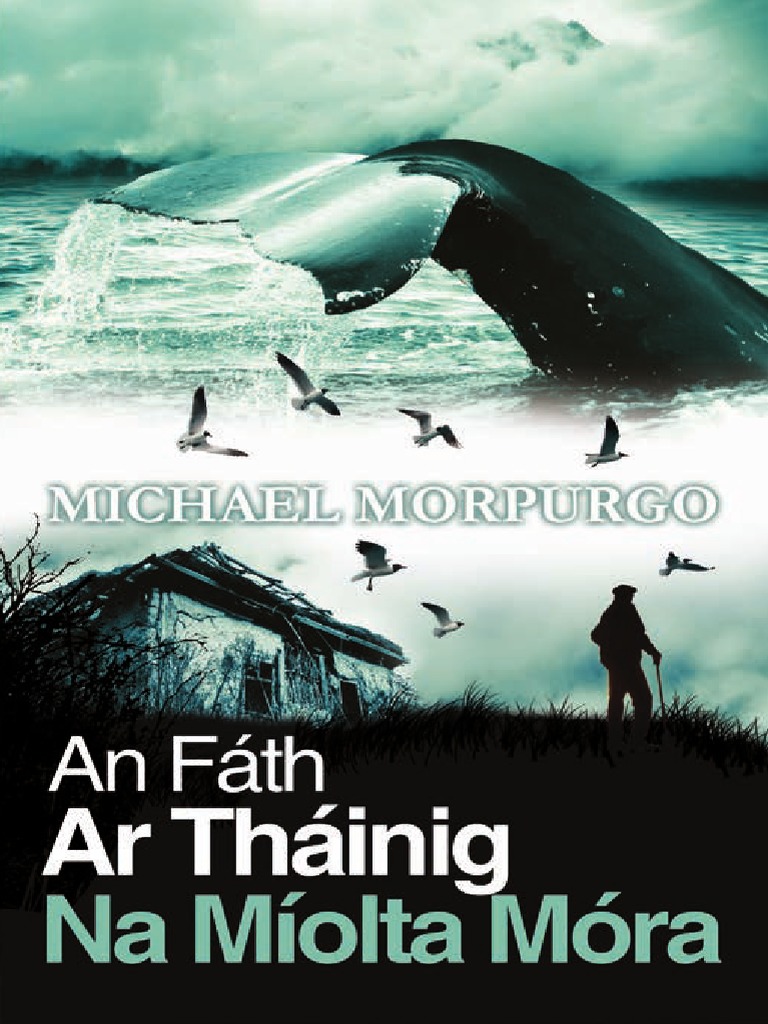 For Seachtain Na Gaeilge the 406 days film was shown to students in  Gaeilscoil Colaiste Chillian in Clondalkin, Dublin. It was very well  received by the students thanks to teacher Natasha., image size:768x1024