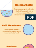 Orange Illustrative Animal Cell Presentation