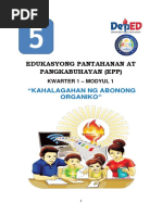 Epp5 - Afa - Module 1 | PDF