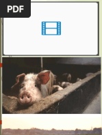 Module 4 Preparing Layout Design For Orchard | PDF | Rectangle | Orchard