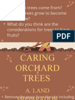 Module 6 Caring Orchard Trees