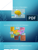 Funções do cérebro e aprendizagem