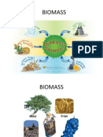 Types of Biomass and its Advantages as an Energy Source