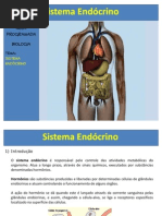 Aula Sistema Endocrino Otima
