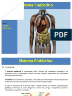 Aula Sistema Endocrino Otima