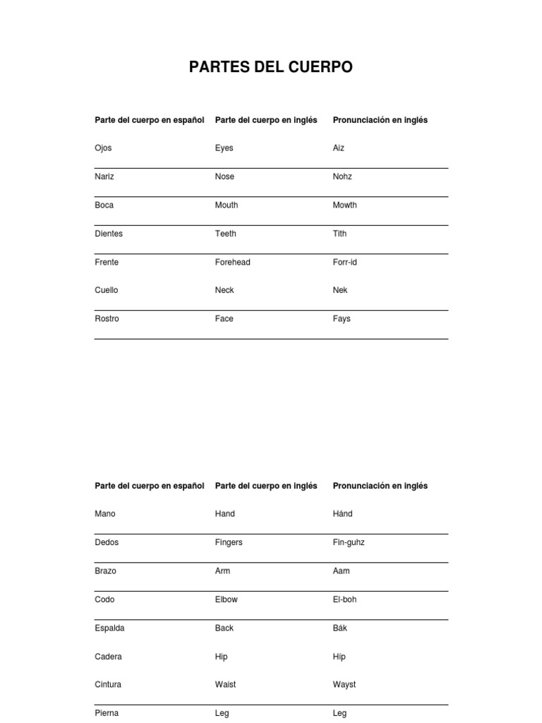 Parte Del Cuerpo en Inglés | PDF | Mano | Extremidades (anatomía)
