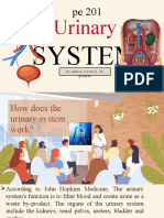 Pe-201 Urinary System