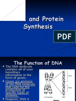 RNA Protein Synthesis