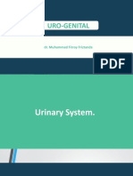 Urogenital Embriology