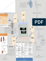 Litiasis-Urinaria-Mapa-Mental Ciencias Medicas
